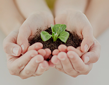 Social Contribution Image