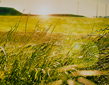 Environmental Management Image